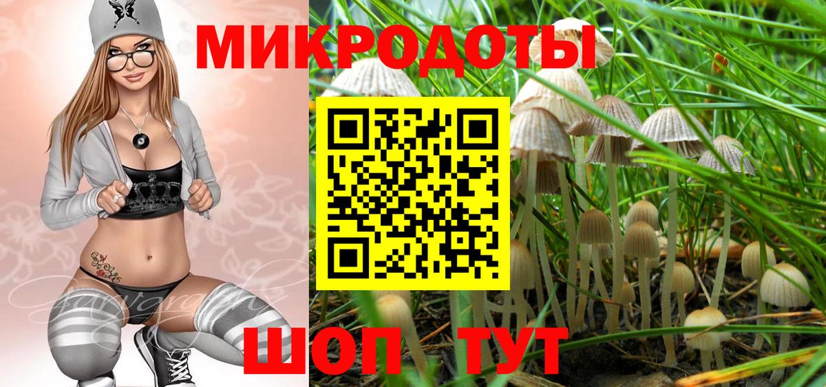 Белорецк  Псилоцибиновые грибы мухоморы  Вход с VPN 